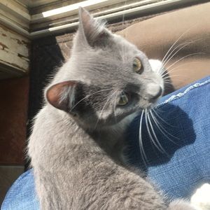 Meet your Posher, Tracey